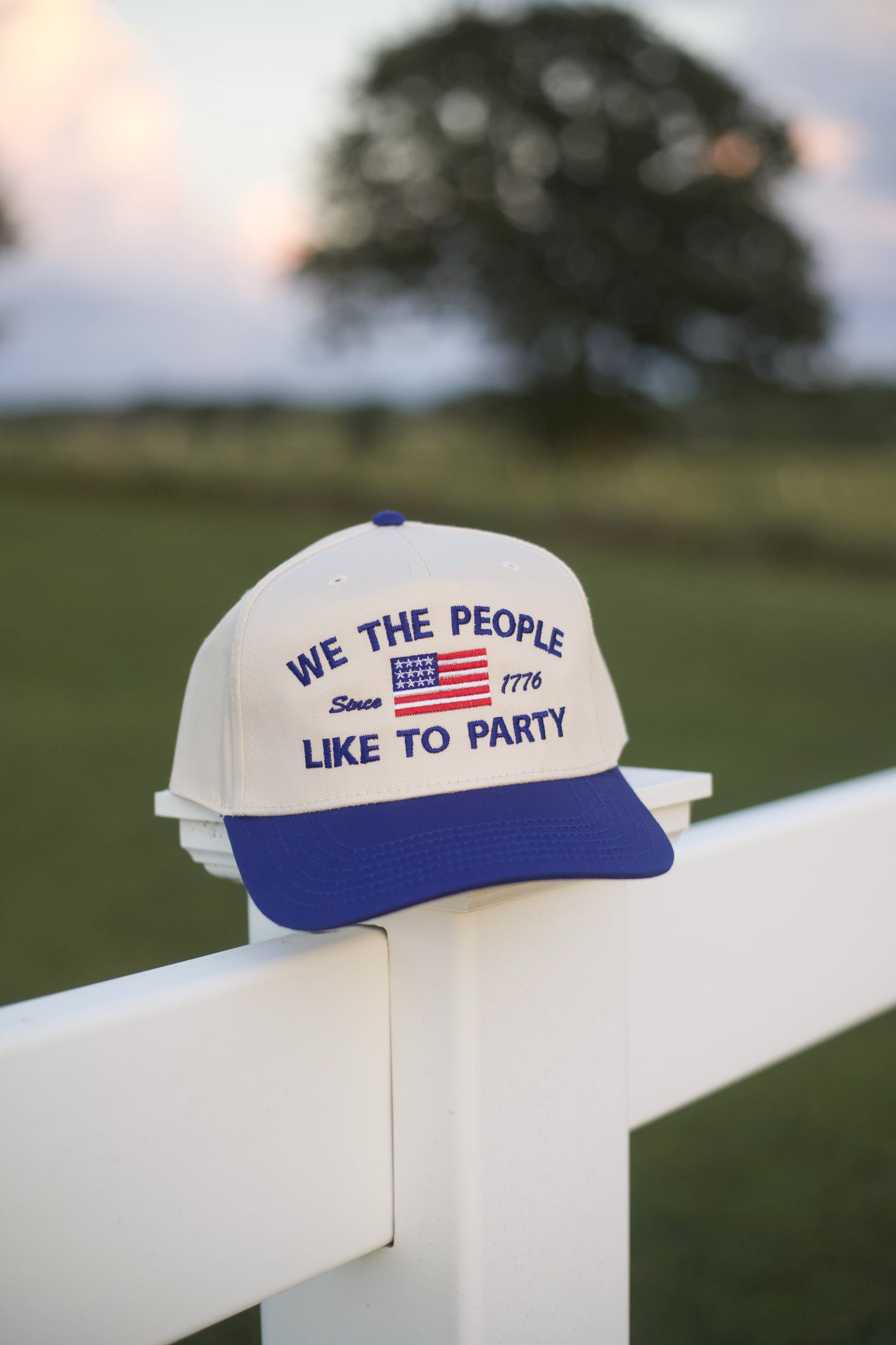 We the People Like to Party Hat